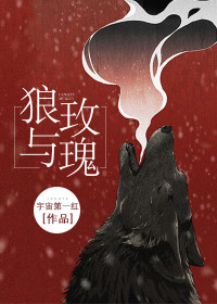 《狼与玫瑰》小说完结版精彩阅读 姜茴陈涞小说阅读