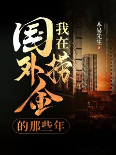 我在国外捞金的那些年小说(连载文)-杨子浩刘伟无广告阅读