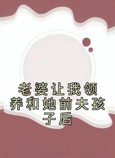 《周正刘兰张昊》小说大结局免费阅读 老婆让我领养和她前夫孩子后小说全文

