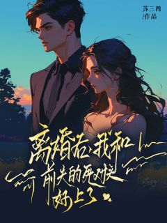 《离婚后，我和前夫的死对头好上了》小说主角宋漱语陆司呈全文章节免费在线阅读
