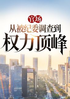 《官场：从被纪委调查到权力顶峰》程大龙宋爱娟 [标签:章节名]章节在线阅读
