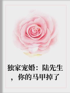 新书《独家宠婚：陆先生，你的马甲掉了》小说全集阅读 江冉陆枭小说免费精彩章节全文